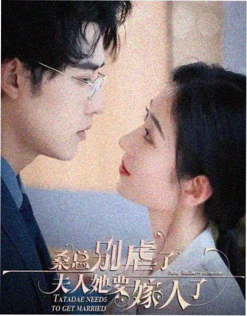 湄南河畔的厨娘剧集封面